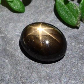Zafiro estrella Negro natural de 2.28 ct, Corte Óvalo, Opaco