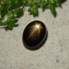 Zafiro estrella negro natural de 1,96 ct, corte óvalo, opaco