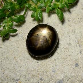 Zafiro estrella negro natural de 2,46 ct, corte óvalo, opaco