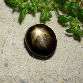 Zafiro estrella negro natural de 2,46 ct, corte óvalo, opaco