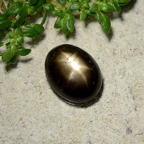 Zafiro estrella negro natural de 2,07 ct, corte óvalo, opaco