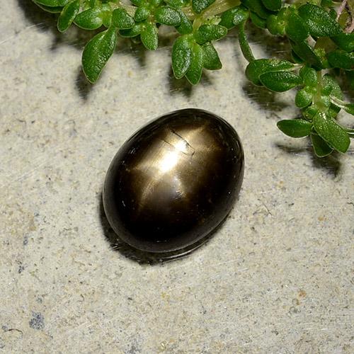 Zafiro estrella negro natural de 2,07 ct, corte óvalo, opaco