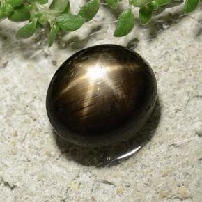 Zafiro estrella negro natural de 3,31 ct, corte óvalo, opaco