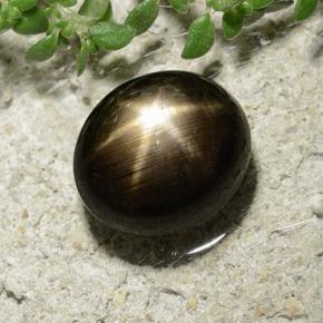 Zafiro estrella negro natural de 3,31 ct, corte óvalo, opaco