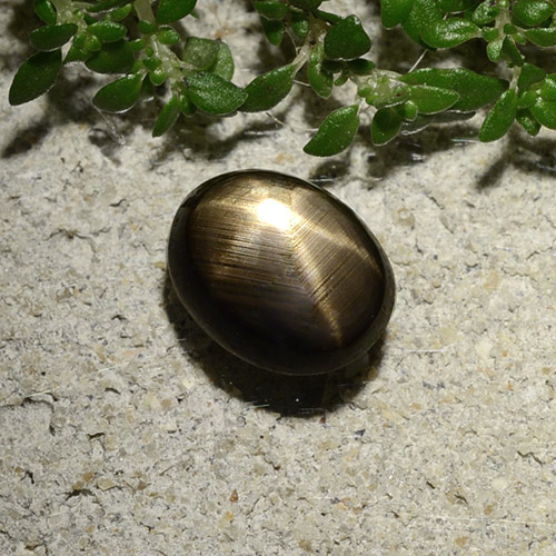 Zafiro estrella negro natural de 2,10 ct, corte óvalo, opaco