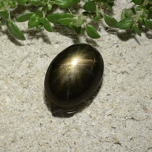 Zafiro estrella negro natural de 2,47 ct, corte óvalo, opaco