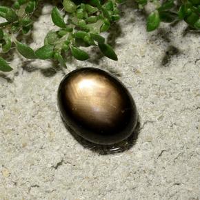 Zafiro estrella Negro natural de 2.06 ct, Corte Óvalo, Opaco