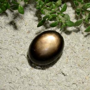 Zafiro estrella Negro natural de 2.06 ct, Corte Óvalo, Opaco