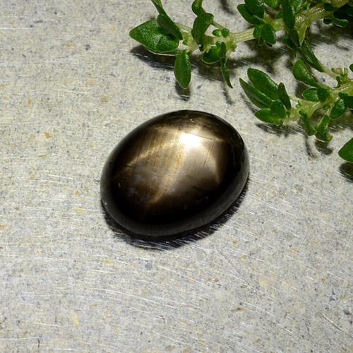 Zafiro estrella negro natural de 1,97 ct, corte óvalo, opaco