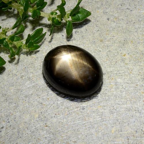 Zafiro estrella negro natural de 1,97 ct, corte óvalo, opaco