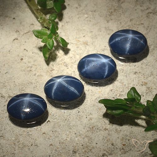 2.89ctw Natural Azul oscuro Zafiro estrella, Ovalada, Opaco