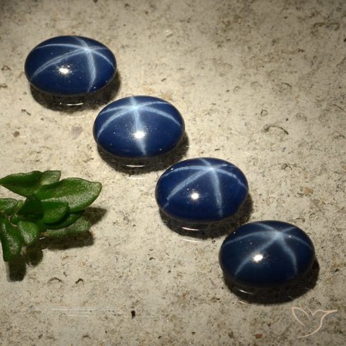 3.01ctw Natural Azul oscuro Zafiro estrella, Ovalada, Opaco