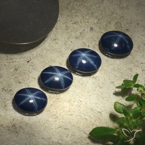 3.59ctw Natural Azul marino intenso Zafiro estrella, Ovalada, Opaco