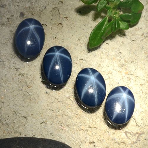 2.84ctw Natural Azul oscuro Zafiro estrella, Ovalada, Opaco
