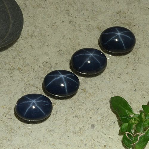 5.77ctw Natural Azul oscuro Zafiro estrella, Ovalada, Opaco