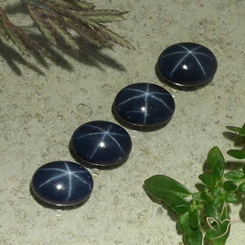 4.85ctw Natural Azul oscuro Zafiro estrella, Ovalada, Opaco