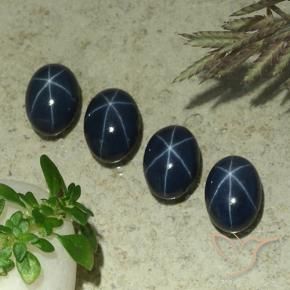 Gemas de Zafiro estrella Azul oscuro natural de 5.69 ct, Ovalada, Opaco
