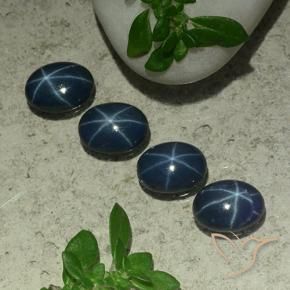 Gemas de Zafiro estrella Azul oscuro natural de 3.65 ct, Ovalada, Opaco