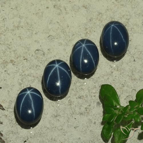 5.11ctw Natural Azul oscuro Zafiro estrella, Ovalada, Opaco