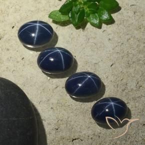 Gemas de Zafiro estrella Azul marino intenso natural de 6.34 ct, Ovalada, Opaco