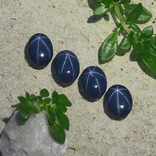 3.24ctw Natural Azul oscuro Zafiro estrella, Ovalada, Opaco