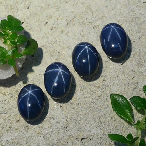 Gemas de Zafiro estrella Azul oscuro natural de 5.59 ct, Corte Óvalo, Opaco