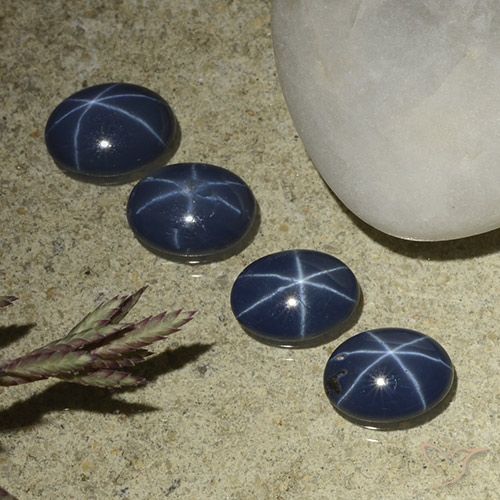 Gemas de Zafiro estrella Azul marino intenso natural de 3.02 ct, Corte Óvalo, Opaco