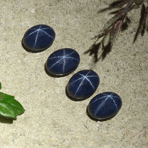 5.60ctw Natural Azul oscuro Zafiro estrella, Ovalada, Opaco