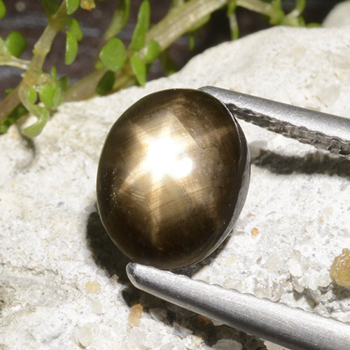 Zafiro estrella Negro natural de 2.78 ct, Corte Óvalo, Opaco