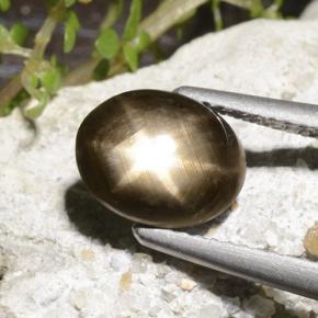 Zafiro estrella Negro natural de 2.78 ct, Corte Óvalo, Opaco