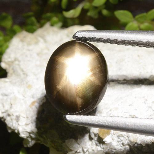 Zafiro estrella negro natural de 2,65 ct, corte óvalo, opaco