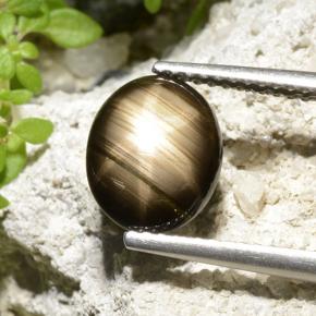 Zafiro estrella Negro natural de 2.32 ct, Corte Óvalo, Opaco