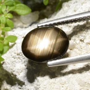 Zafiro estrella Negro natural de 2.32 ct, Corte Óvalo, Opaco