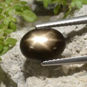 Zafiro estrella Negro natural de 3.33 ct, Corte Óvalo, Opaco