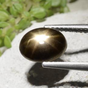 Zafiro estrella Negro natural de 2.54 ct, Corte Óvalo, Opaco