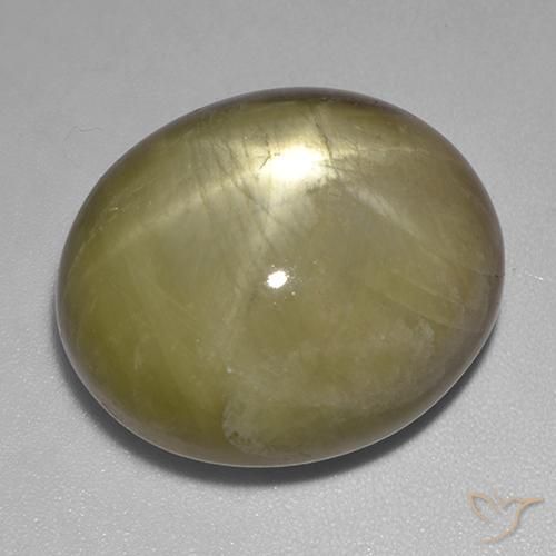 Zafiro estrella Amarillo terroso natural de 48.29 ct, Ovalada, Opaco