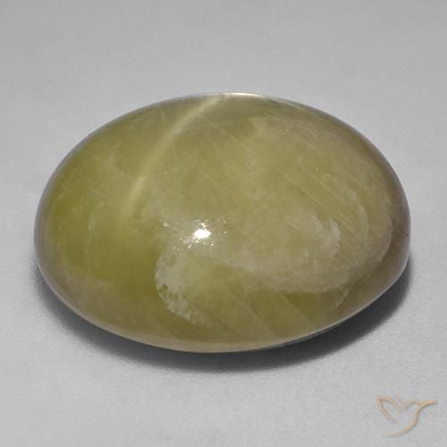 Zafiro estrella Amarillo terroso natural de 48.29 ct, Ovalada, Opaco