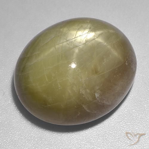 54.80ct Natural Amarillo dorado Zafiro estrella, Ovalada, Opaco