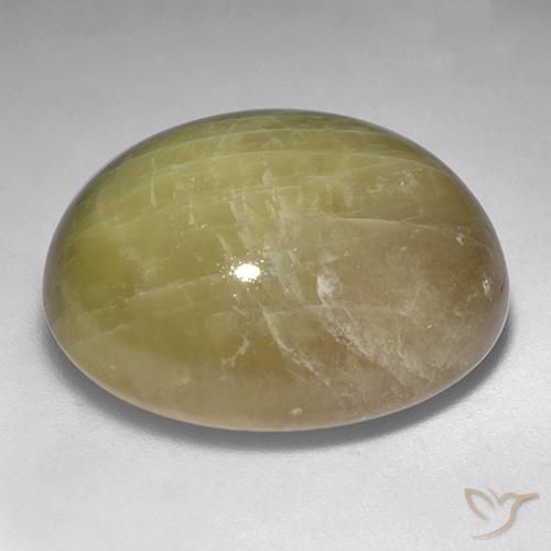 Zafiro estrella Amarillo dorado natural de 54.80 ct, Ovalada, Opaco