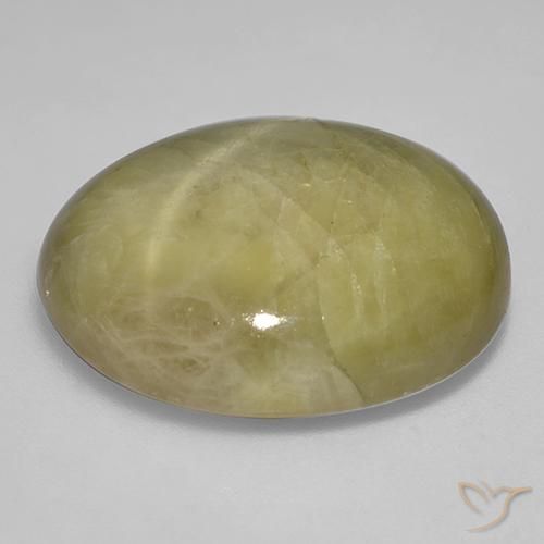 Zafiro estrella Amarillo dorado natural de 46.06 ct, Ovalada, Opaco
