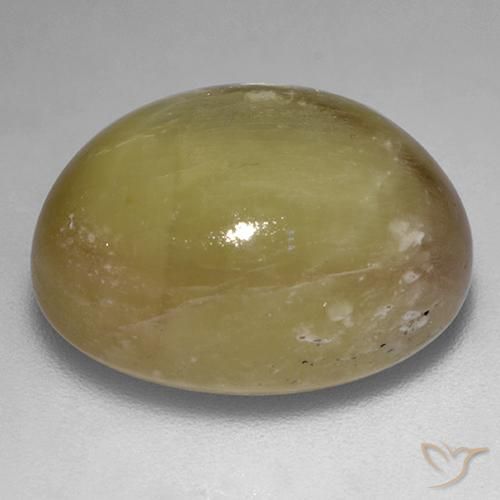Zafiro estrella Amarillo dorado natural de 22.44 ct, Ovalada, Opaco