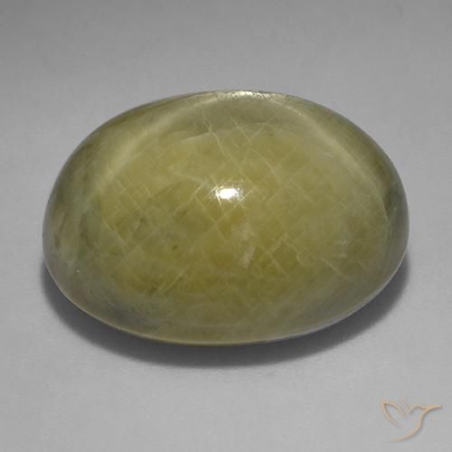 Zafiro estrella Amarillo terroso natural de 45.27 ct, Ovalada, Opaco