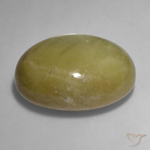Zafiro estrella Amarillo dorado natural de 31.68 ct, Ovalada, Opaco