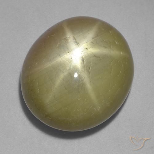 32.10ct Natural Amarillo dorado Zafiro estrella, Ovalada, Opaco