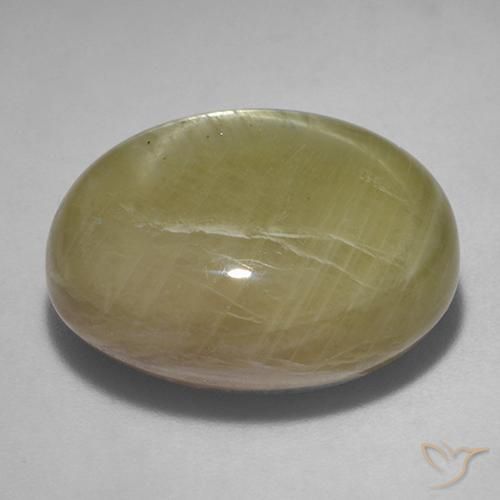Zafiro estrella Amarillo dorado natural de 30.01 ct, Ovalada, Opaco