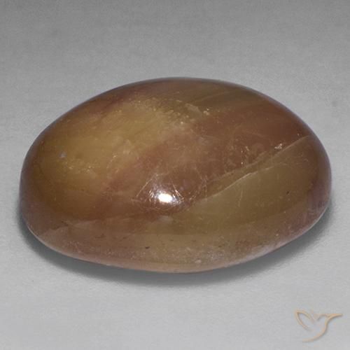 Zafiro estrella Dorado anaranjado natural de 22.20 ct, Ovalada, Opaco