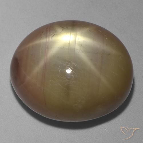 43.69ct Natural Dorado anaranjado Zafiro estrella, Ovalada, Opaco
