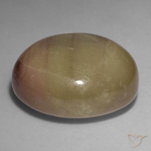 Zafiro estrella Dorado anaranjado natural de 43.69 ct, Ovalada, Opaco