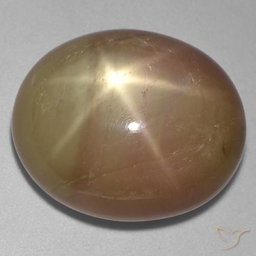 31.95ct Natural Dorado anaranjado Zafiro estrella, Ovalada, Opaco