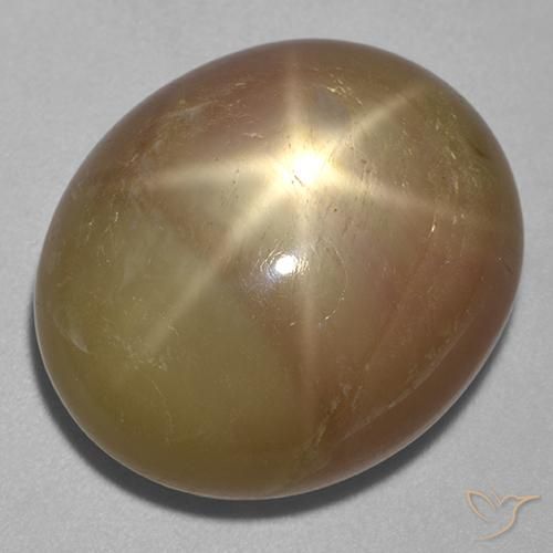 Zafiro estrella Dorado anaranjado natural de 31.95 ct, Ovalada, Opaco
